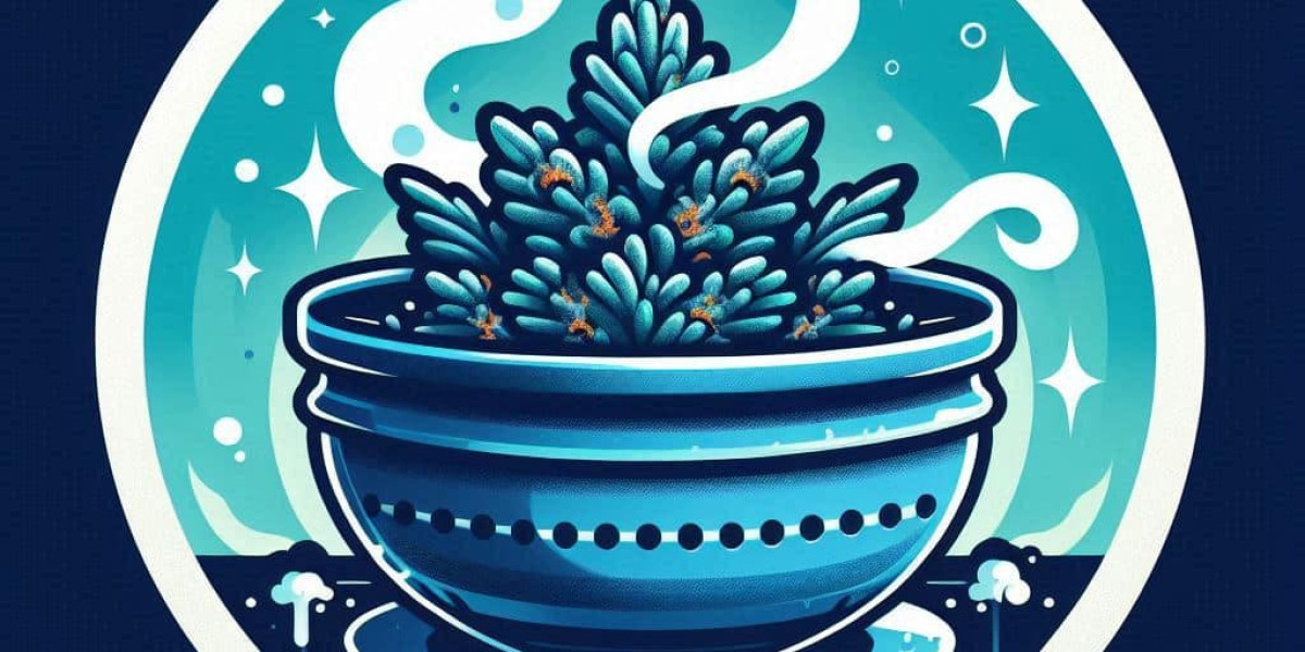 Blue Dream Grow Diary: A Personal Journey with a Legendary Strain