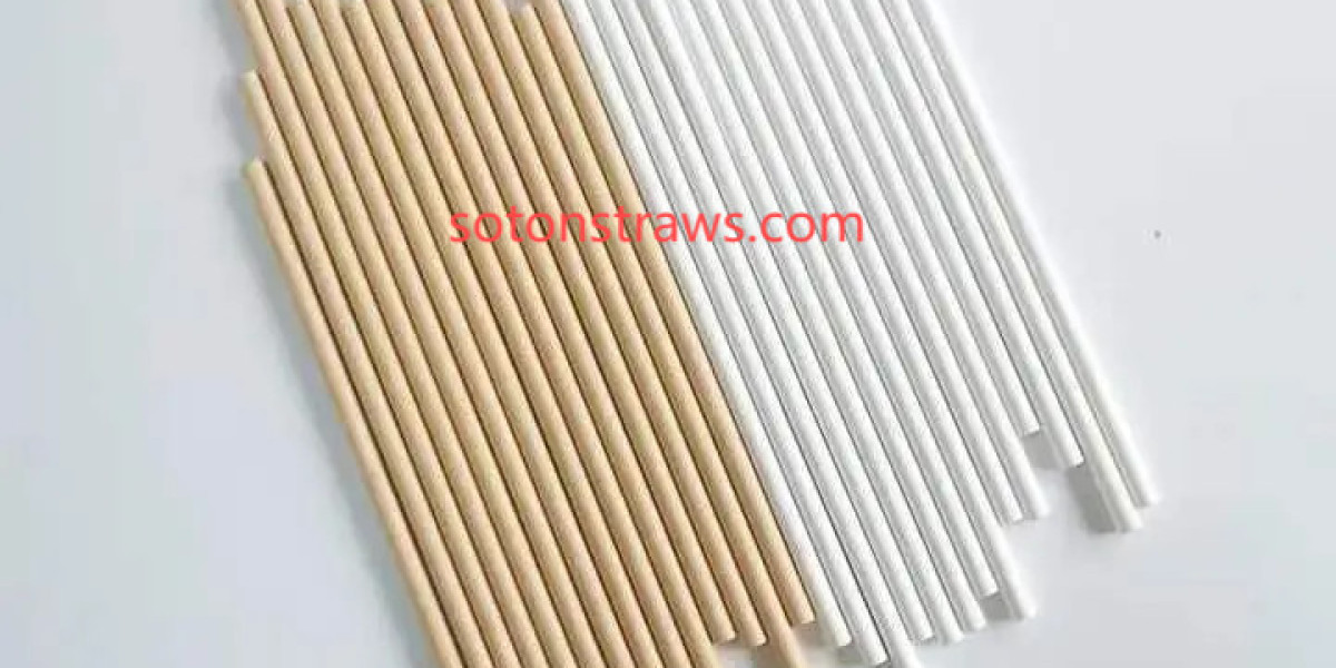 Soton Builds Durable Straws Factory Products