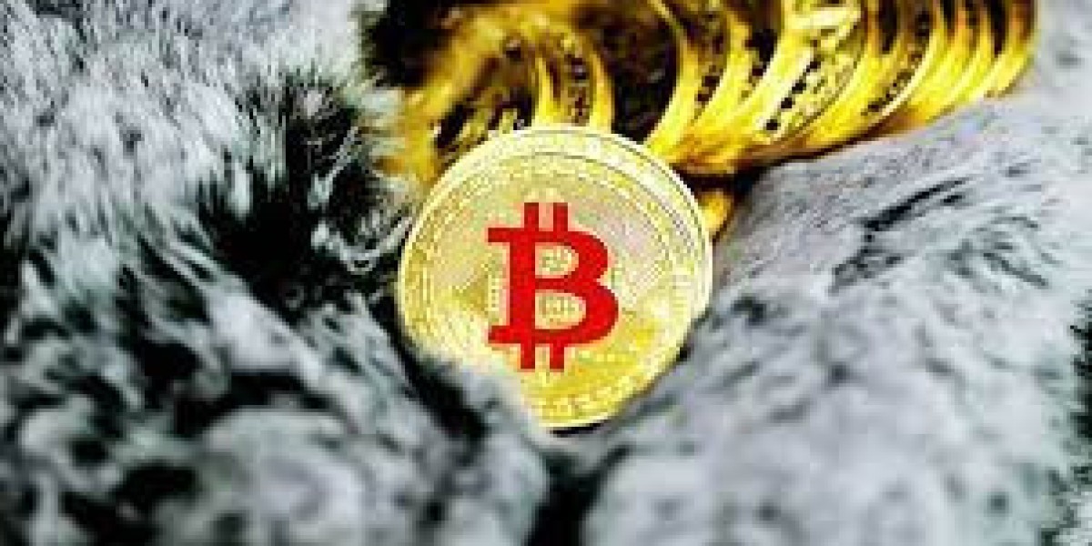 Bitcoin vs Ripple: Which Is More Decentralized?