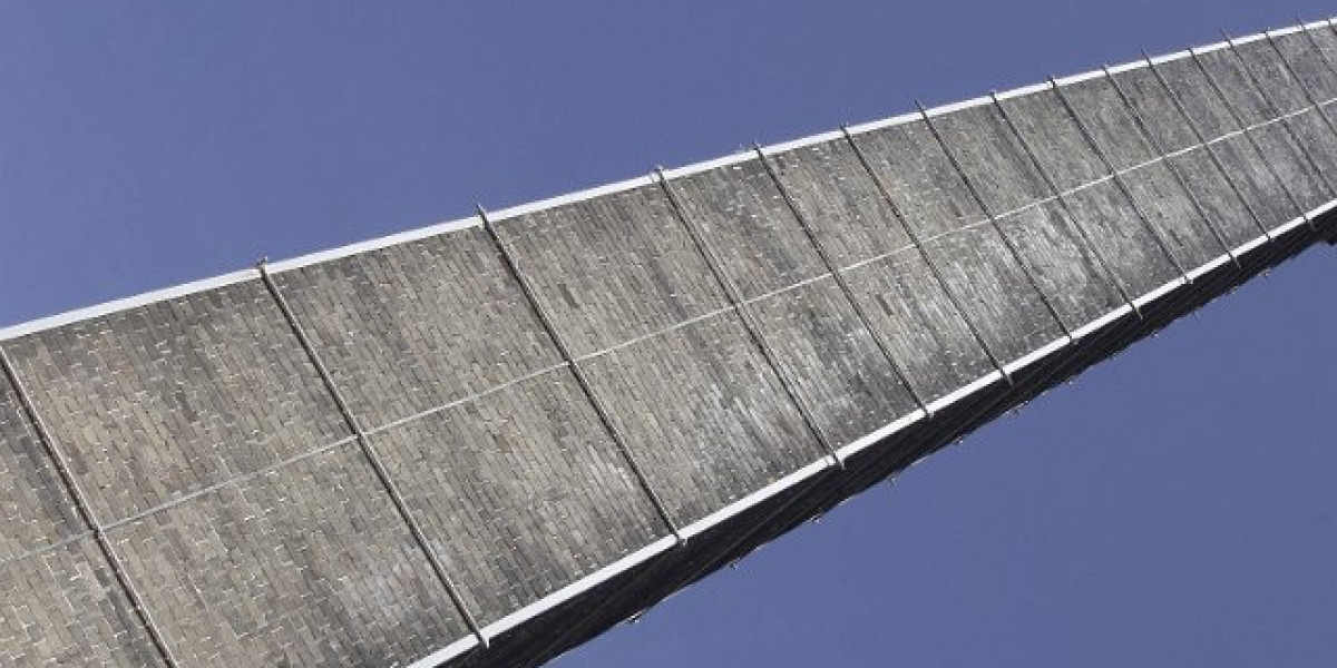 IGF-I: Der Wachstumshormon-Wegweiser