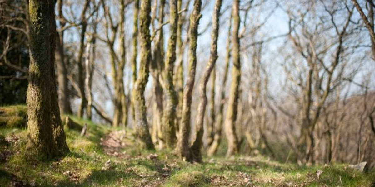Wachstumshormon: Wirkungen und Regulation