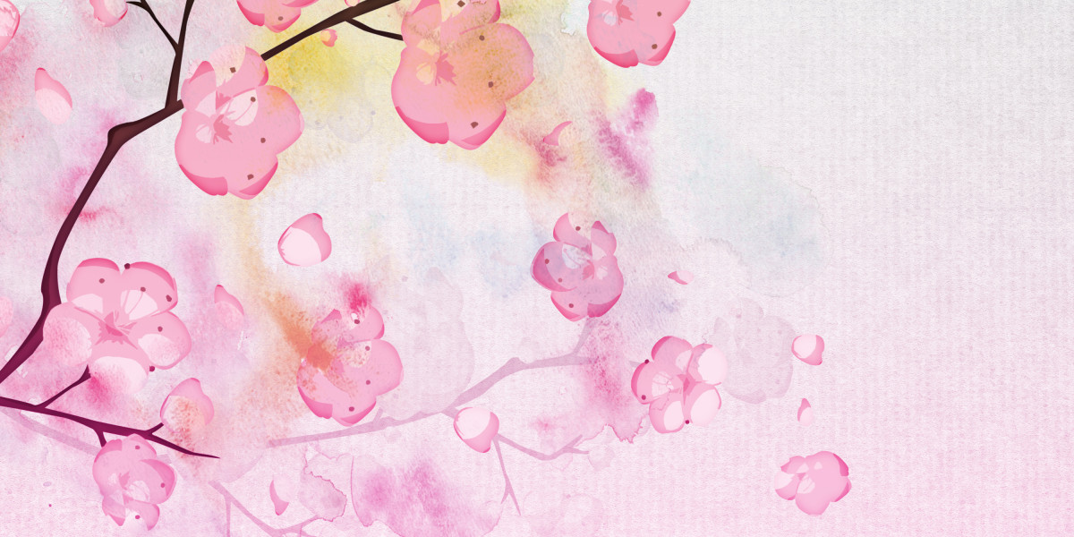 Find out how to Fly Private on a Funds: Suggestions for Inexpensive Luxury Journey