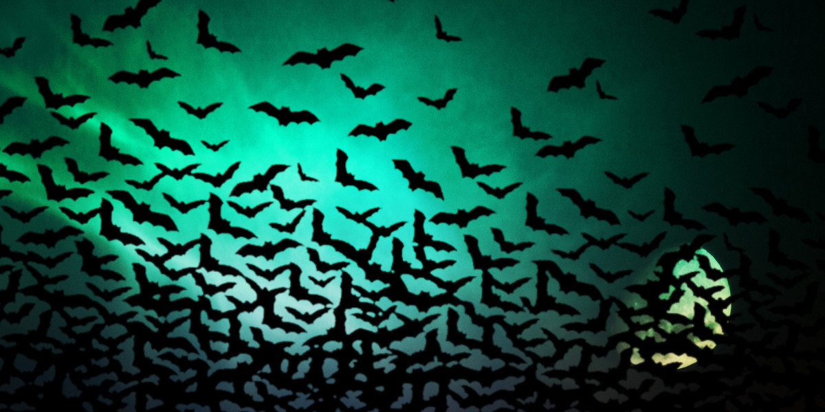 Understanding Jettly Prices: A Comprehensive Guide to Private Jet Charter Costs