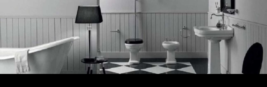 Saniterica Cover Image