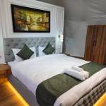 theglamphills Profile Picture